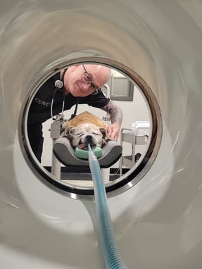 CT - Anesthesiologist with Patient - Sedation-Imaging