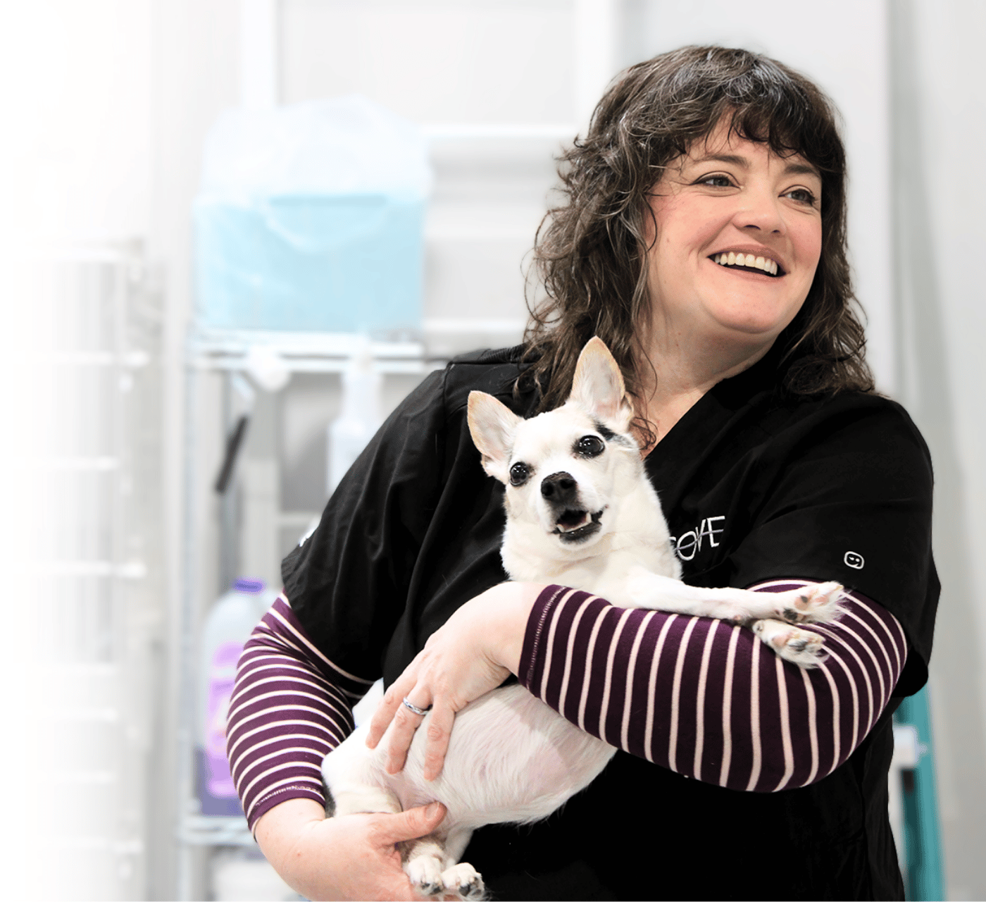Carri with Dog Pet Owners Header Carri with Dog Pet Owners Header