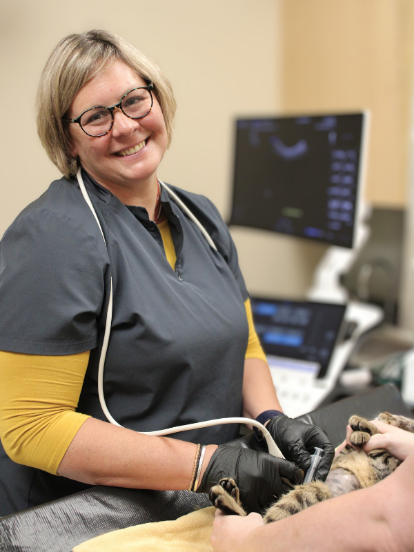 Image of Ultrasound Sonographer Taking FNA Tissue Sampling at Center of Veterinary Excellence in Waukesha Wisconsin Image of Ultrasound Sonographer Taking FNA Tissue Sampling at Center of Veterinary Excellence in Waukesha Wisconsin