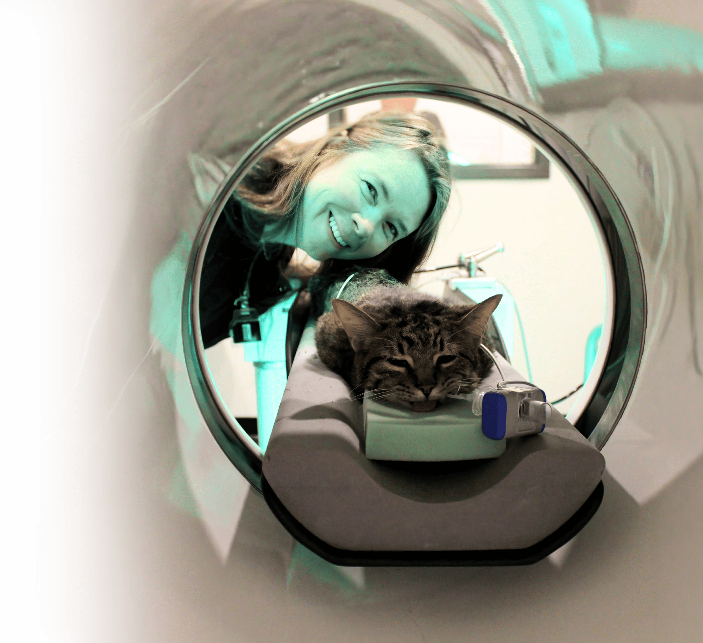 Laura Pet Owners Header