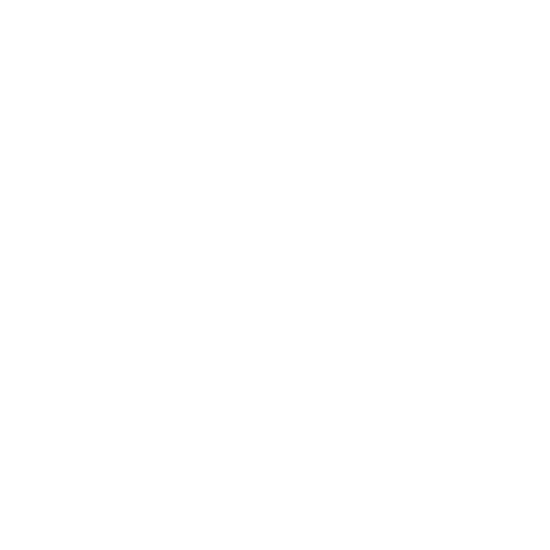 Brain Icon
