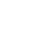 Needle Icon