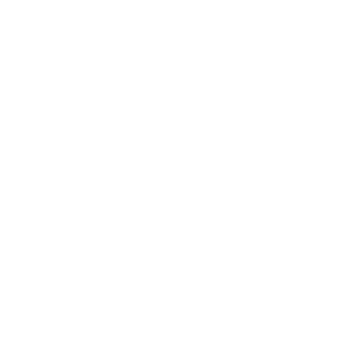 Results Icon
