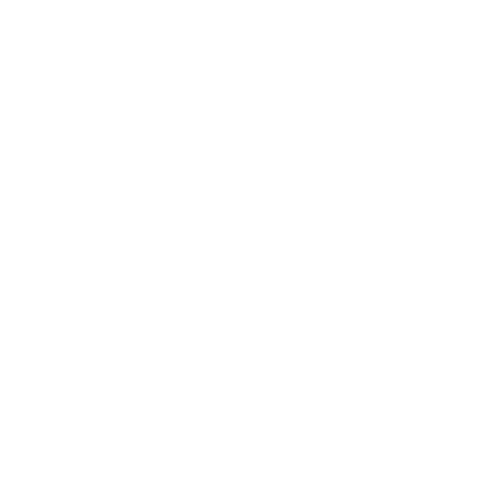Spine Icon