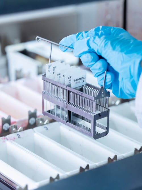 Image of veterinary tissue samples prepped for diagnostic testing Image of veterinary tissue samples prepped for diagnostic testing