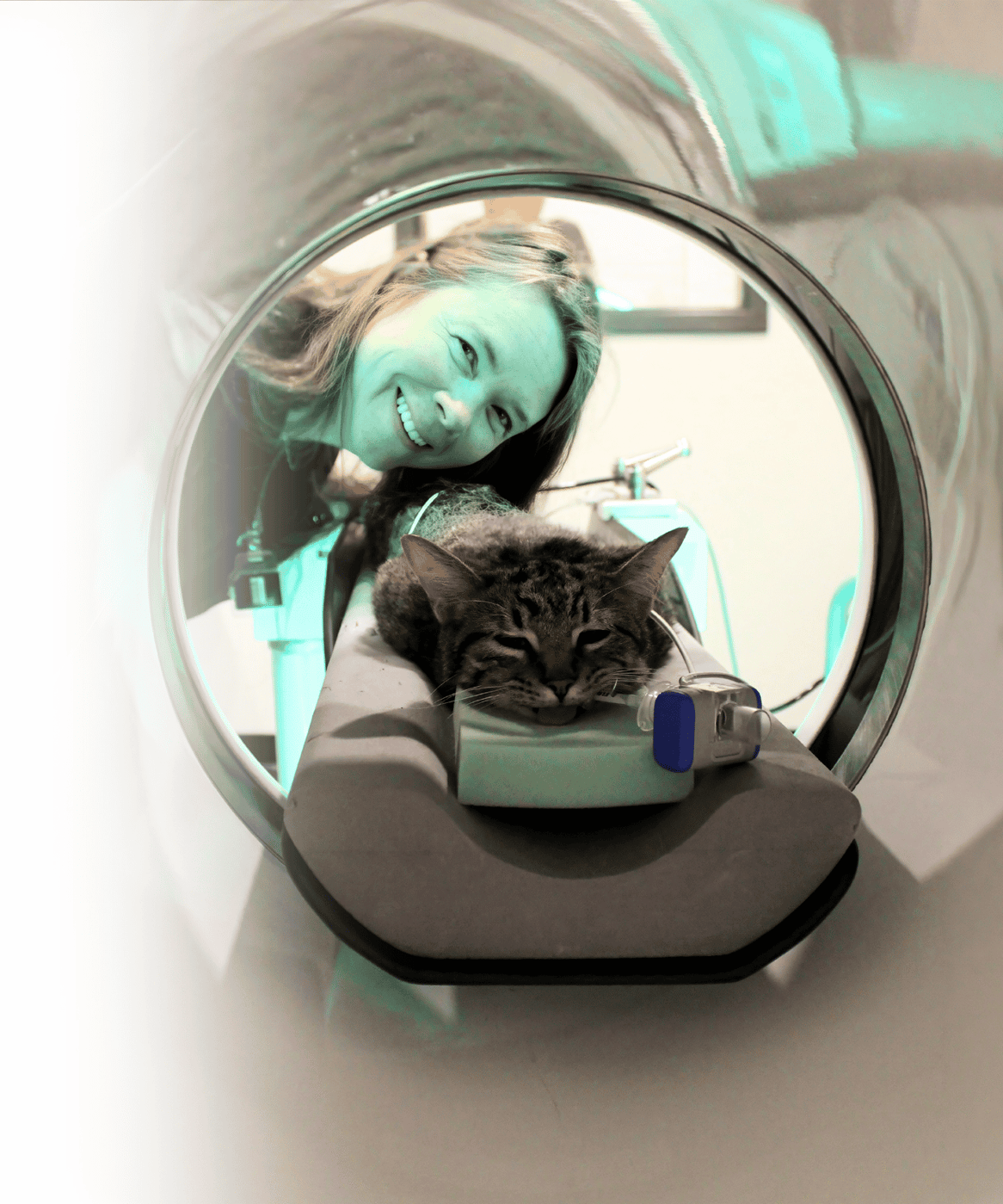 Veterinary technician with CT scan for cat