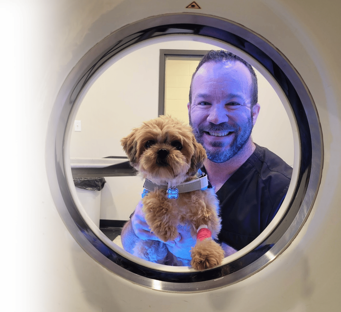 Veterinary radiology director looking through the gantry of a CT scanner during a Bring Your Vet to Work Day imaging experience Veterinary radiology director looking through the gantry of a CT scanner during a Bring Your Vet to Work Day imaging experience