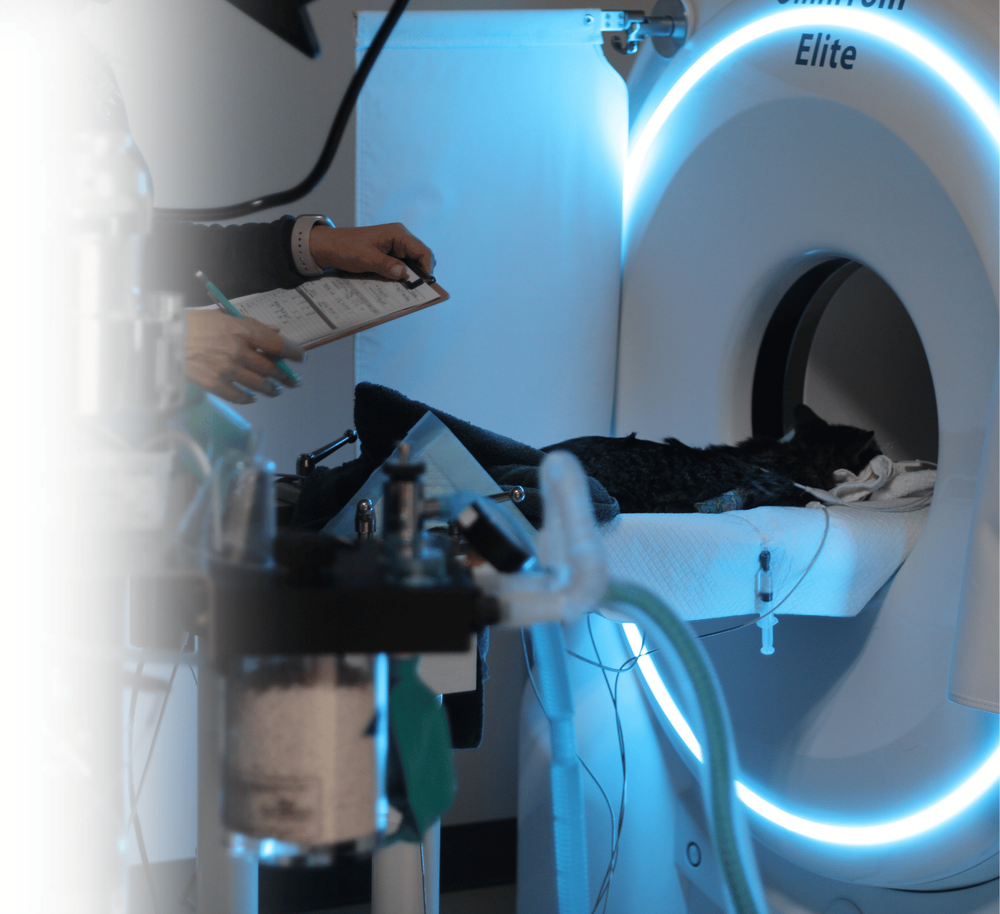 Veterinarian reviewing patient chart as advanced CT scan initiates Veterinarian reviewing patient chart as advanced CT scan initiates