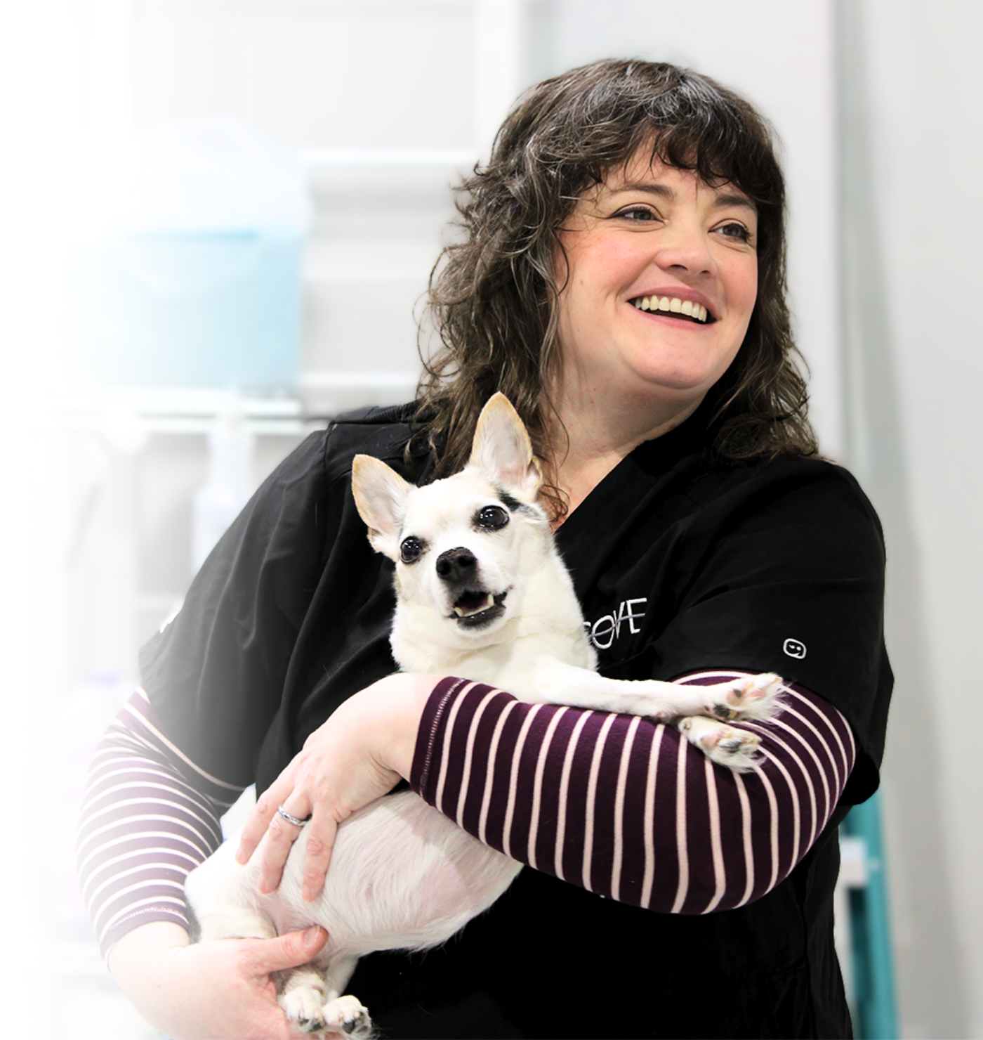 Dog being held by a compassionate veterinary technician during imaging appointment