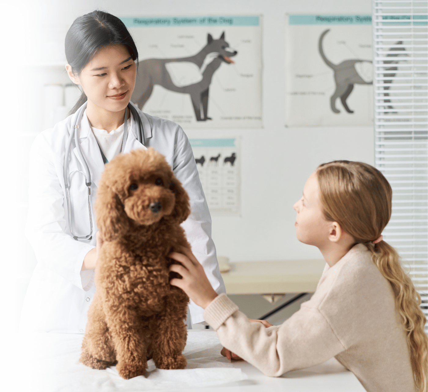 Veterinarian with young girl and pet before performing ultrasound-guided fine needle aspiration of a soft tissue mass Veterinarian with young girl and pet before performing ultrasound-guided fine needle aspiration of a soft tissue mass