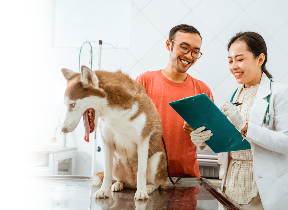 vet and pet owner