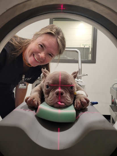 CT - Veterinary Technician with Canine Patient - Imaging