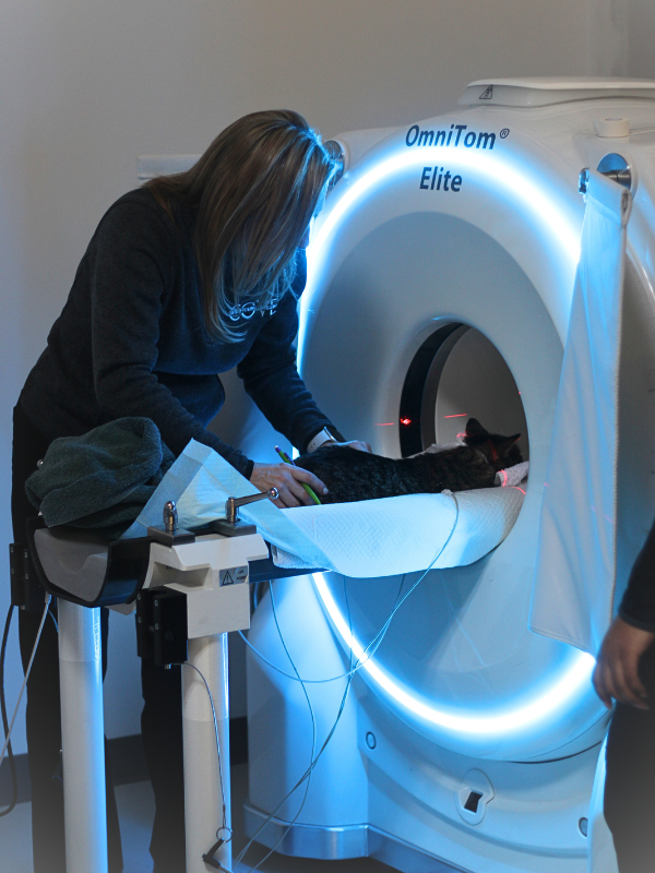 COVE MI CT Scan COVE MI CT Scan