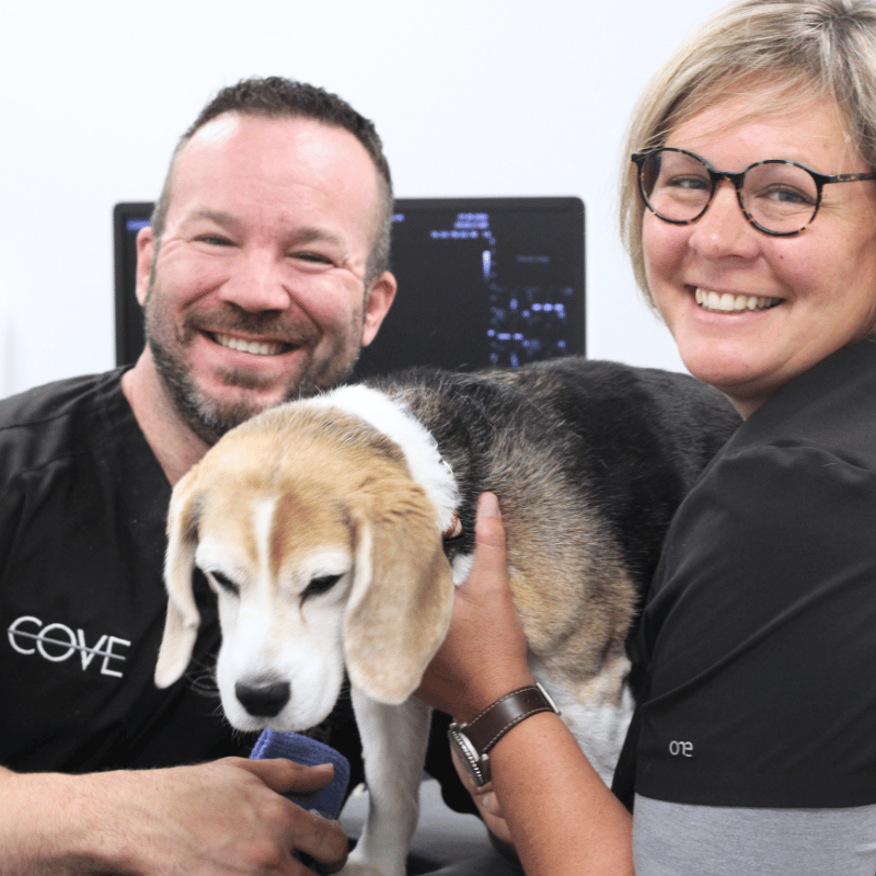 Veterinary imaging team providing outpatient diagnostic services in Wisconsin and Michigan Veterinary imaging team providing outpatient diagnostic services in Wisconsin and Michigan
