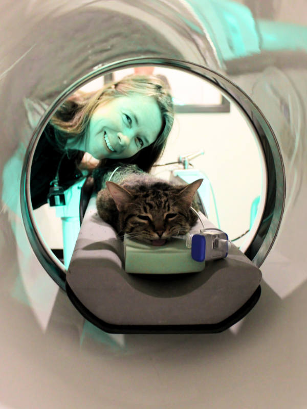 Laura CT Image with Cat Vertical