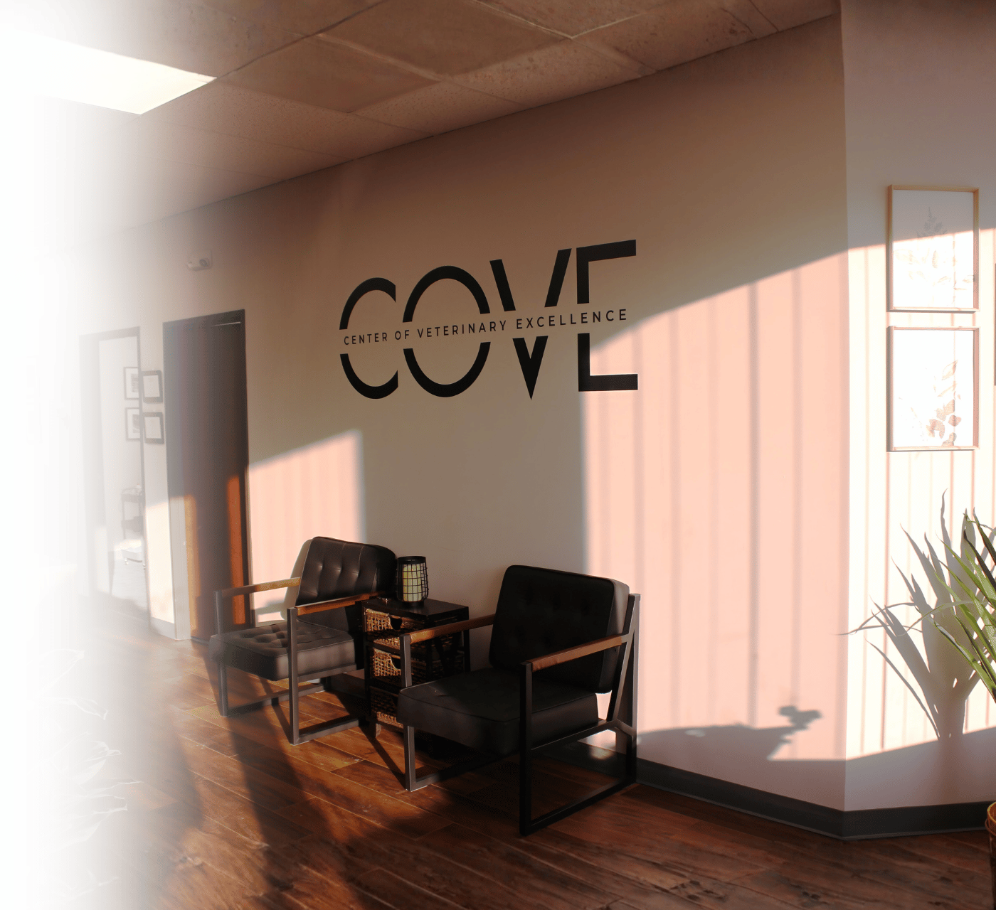 Exterior of The COVE outpatient veterinary imaging center in Farmington Hills, Michigan Exterior of The COVE outpatient veterinary imaging center in Farmington Hills, Michigan